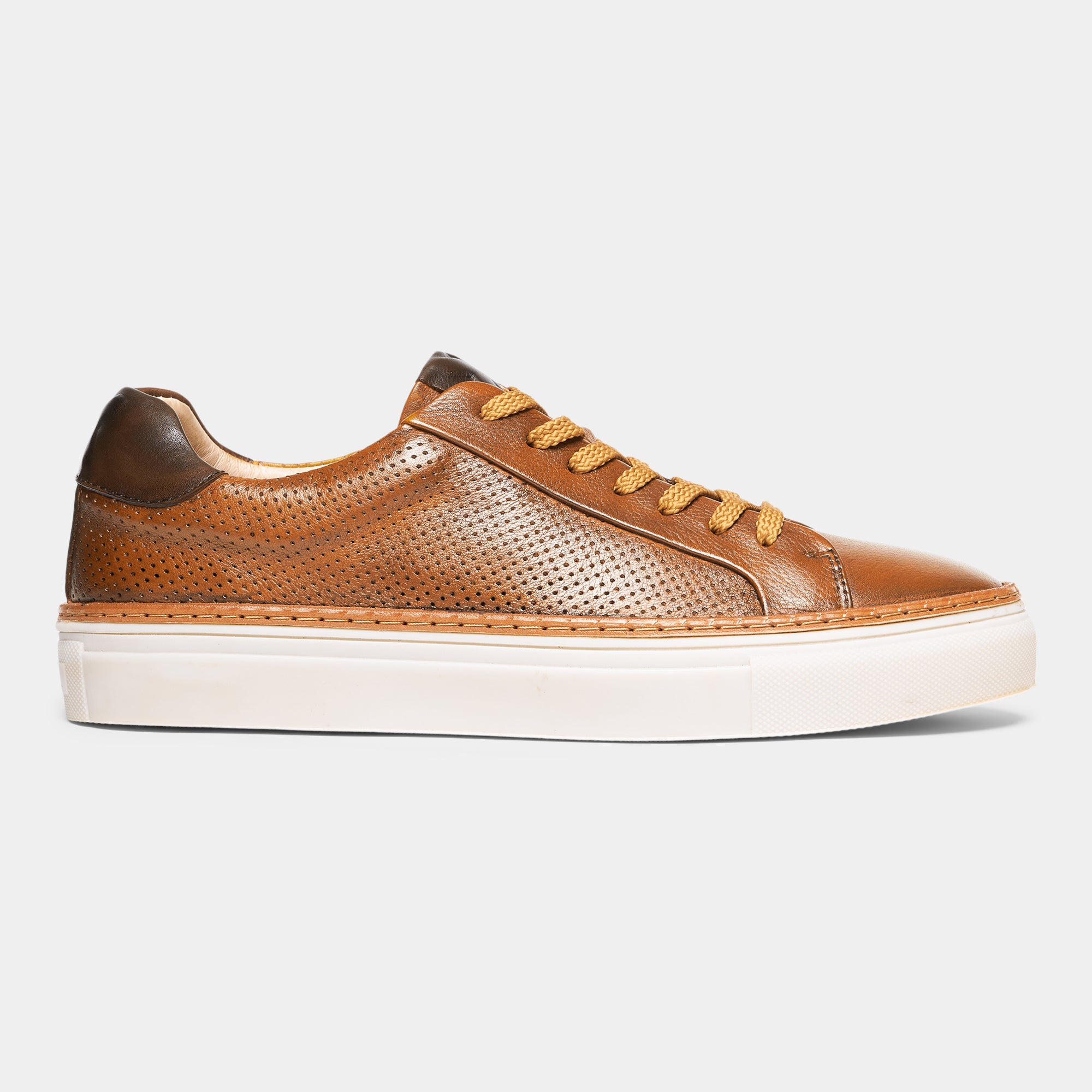 LAB 71X04 244 Sneaker laced Cognac